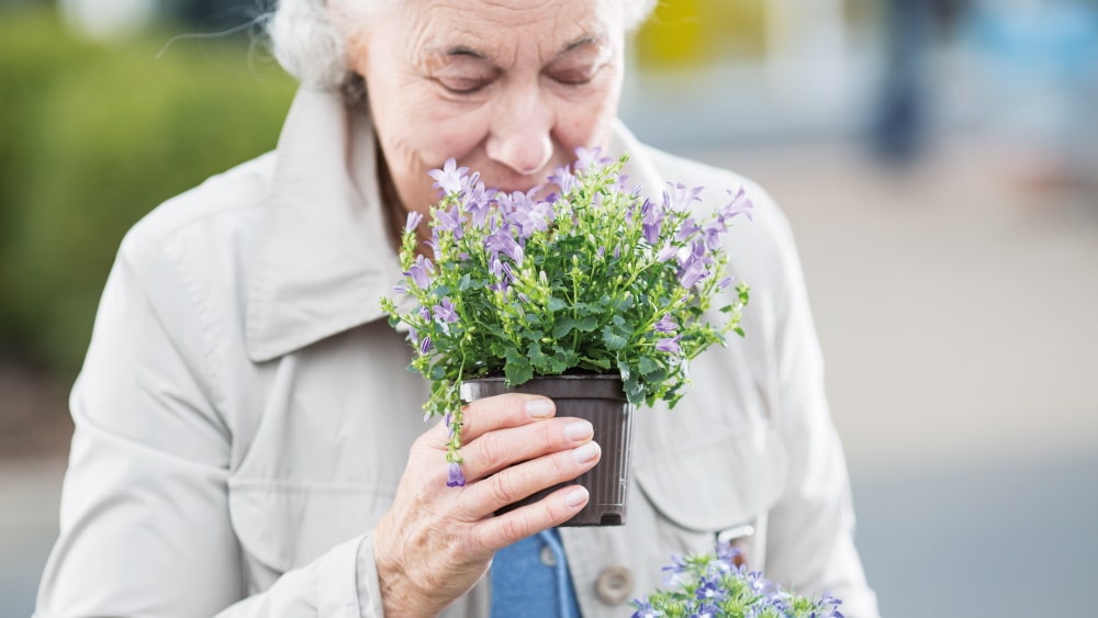 femme âgée sent bon sur une plante à fleurs